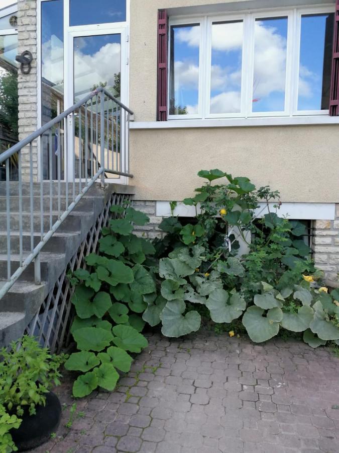 Un Verger Dans La Ville Saint-Parres-aux-Tertres Exterior foto